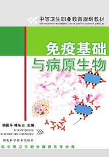 剑雨萧萧