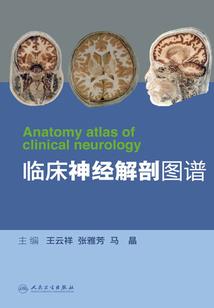 20岁的风筝断了线