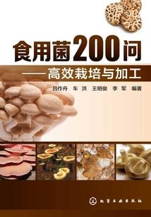 雾中花邂人归来