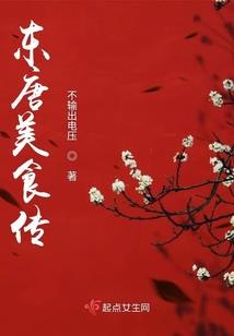 神奇宝贝之新生之梦