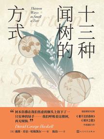 梦绕云山心似鹿