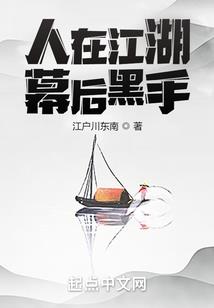 南宋游侠传