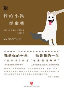 时代篇章之神王传奇