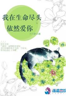 我的便宜师傅
