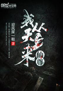枪王传说