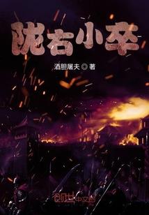 鲁鲁修之乱入王