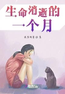一夜书