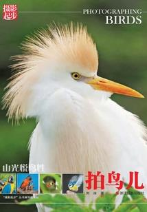 黑白假面