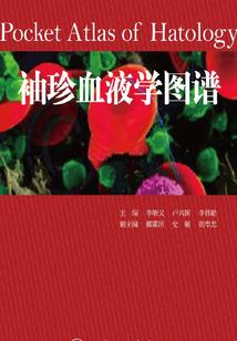 带着空间穿越末世