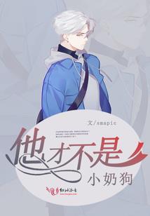 火之炼金术师