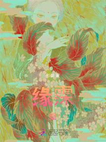 网游之幻想永夜