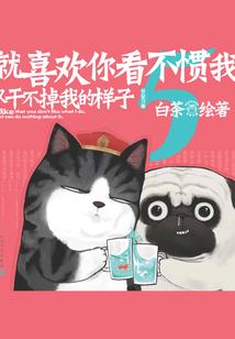 别指望能思考出人生的意义