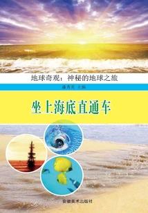 网游之黄金旗舰