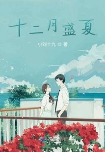 我的老婆是兵王