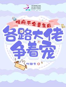 避风港