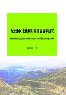 失忆丈夫爱上我