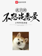 魔法之传奇纵横