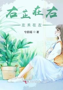 刻在椅子背后的爱情