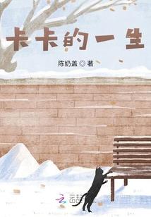 沧澜玄元