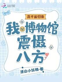 七龙珠之二次元系统