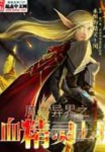 虚无世界之神圣骑士