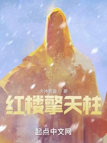 希望之光之圣八章