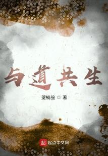 丑小鸭之梦幻白天鹅