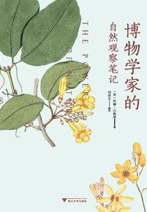 原来爱情只差回头