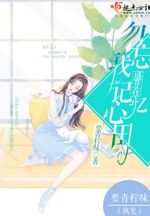 野生情人VS小野猫
