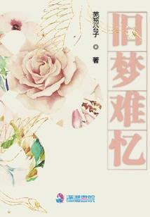 宠妻狂魔，我的总裁大叔