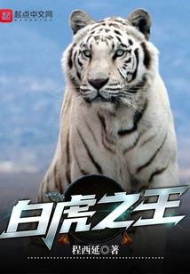 狗尾续貂之前世今生