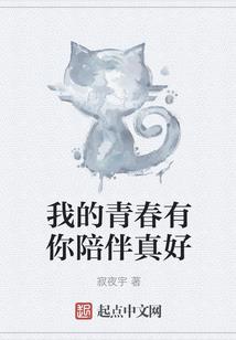 演梦录