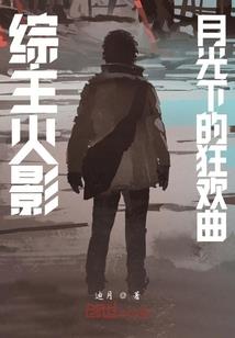 崩坏世界的夜行者
