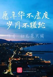落日与森林