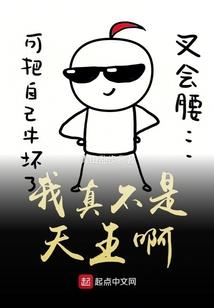 闲野道人