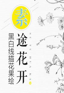 乱世风云传，