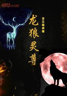 火影之双冷