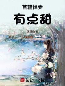 星河盗帅