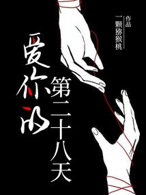 第三人称视角