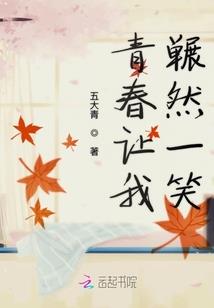 起落月光