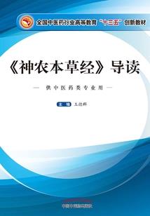 超级影子战队