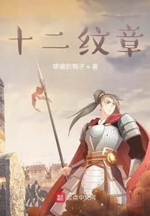 某穿越的绯弹物语