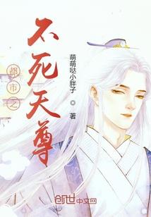 星河护道者