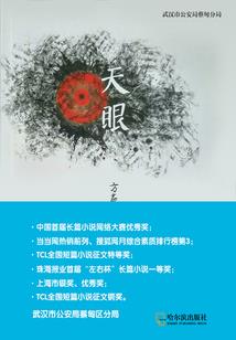 特工：窃心