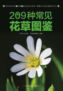 青桑