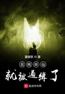 求凰盛宠