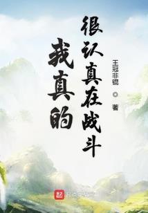 变身机器人