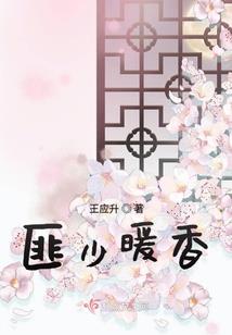 DOLO命运胶囊