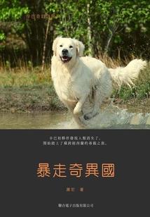 叶倾风
