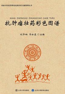 网王之足迹